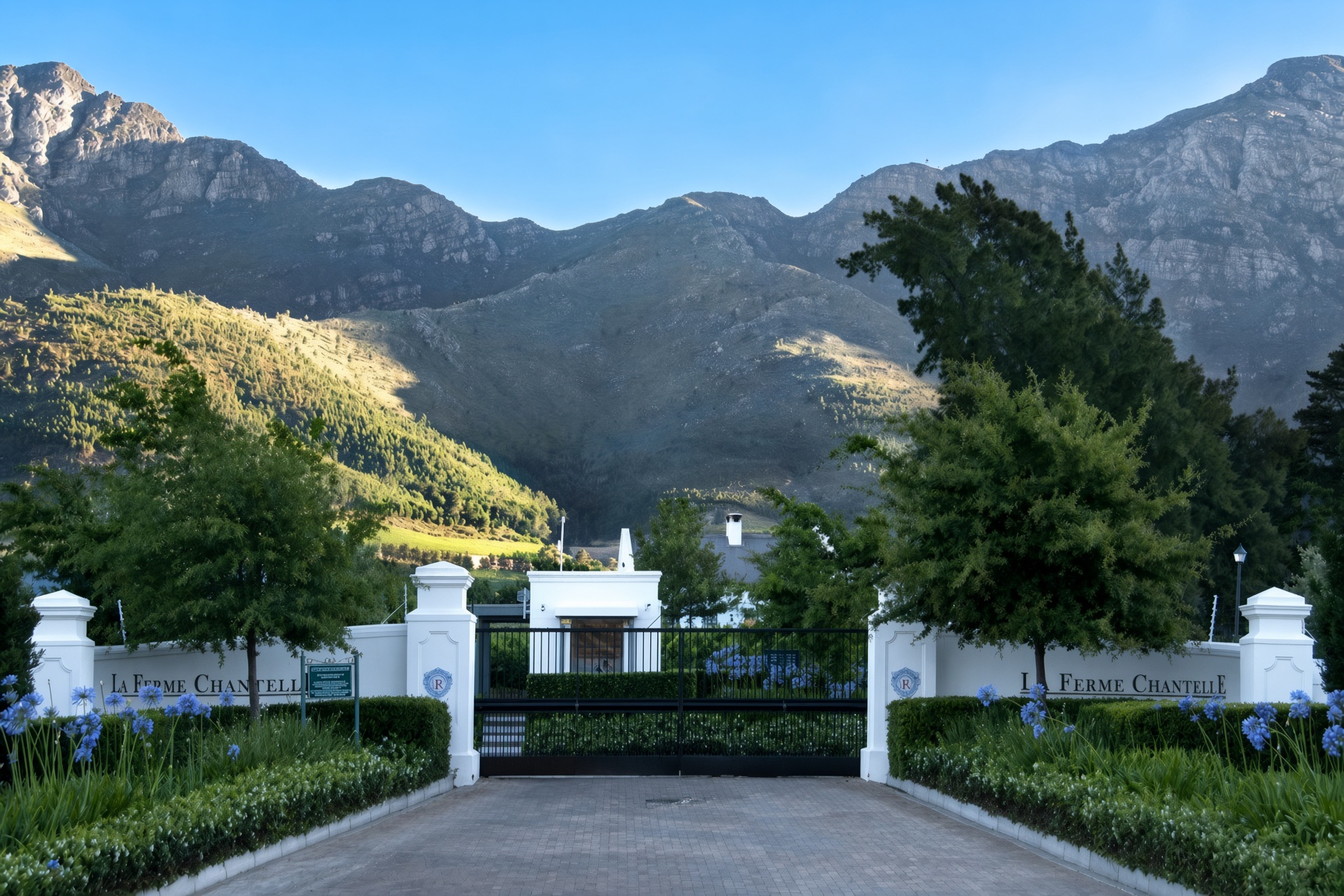 Entrance to La Ferme Chantelle estate with formal hedging, agapanthus and mountain backdrop, maintained by CSA Landscaping, estate management specialists in the Boland and Cape Winelands.