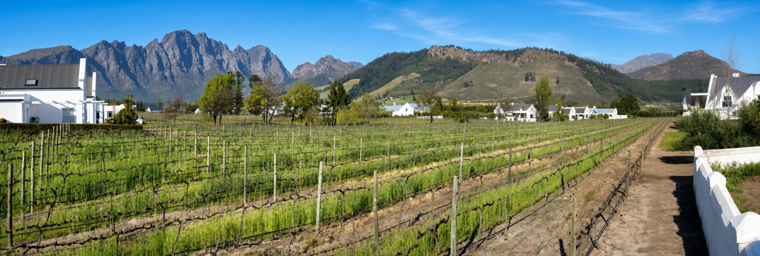 Panoramic view of La Ferme Chantelle estate vineyards with white Cape Dutch buildings and mountain backdrop, fully maintained by CSA Landscaping, estate management specialists in the Boland and Cape Winelands.