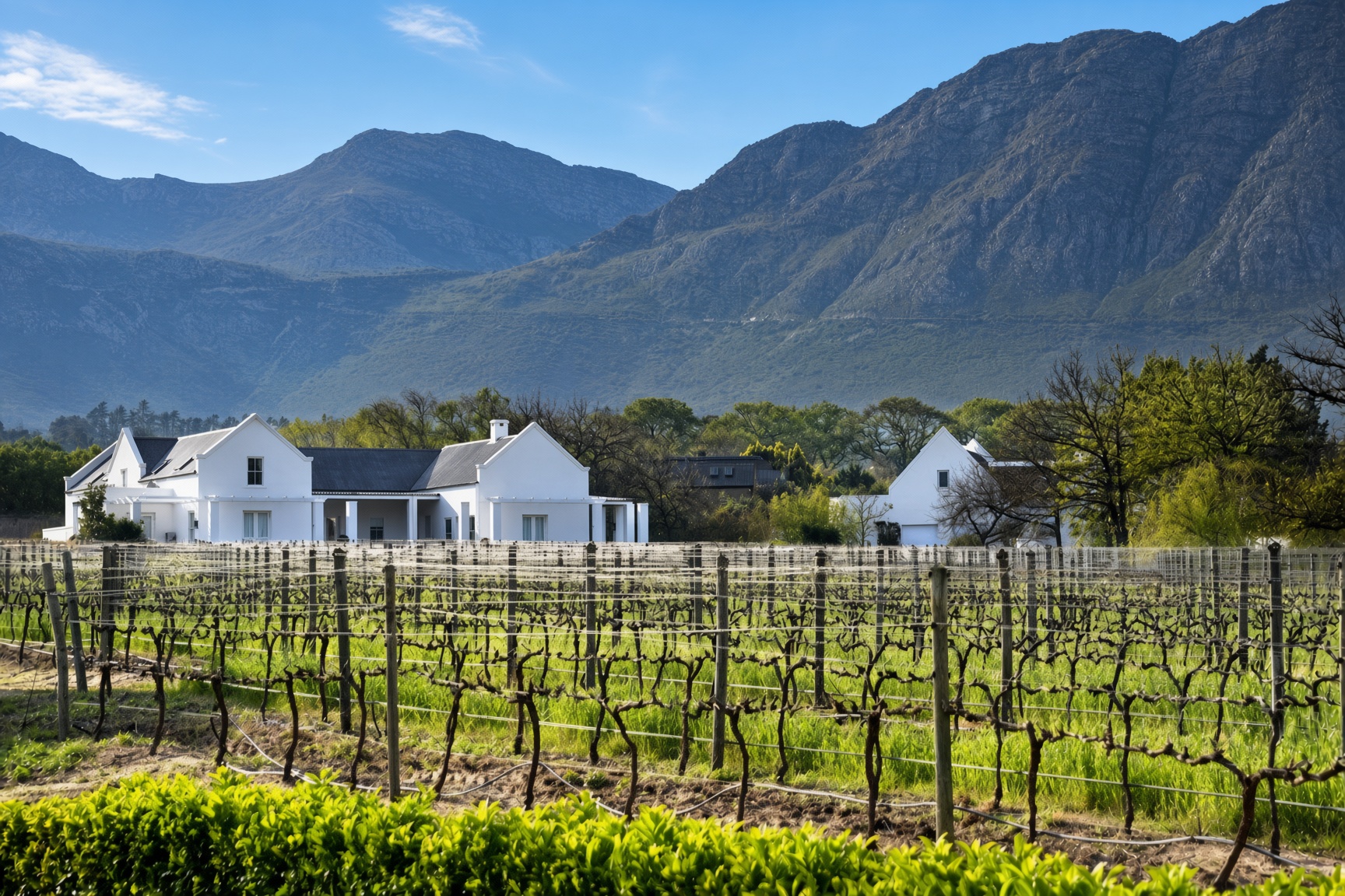 La Ferme Chantelle estate, with white Cape Dutch buildings, winter vineyards and mountain backdrop, fully maintained by CSA Landscaping, estate management specialists in the Boland and Cape Winelands.