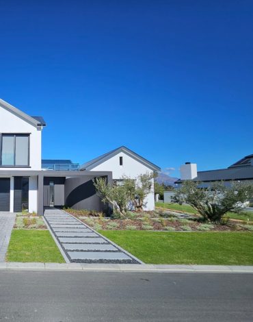 acres-pearl-valley-paarl-contemporary-home-street-view-olives-csa-landscaping-projects Front garden at The Acres, Pearl Valley, Paarl, showing multi-stem olive trees, silver foliage planting, lawn and a pebble-edged stepping-stone pathway by CSA Landscaping, leading landscapers in the Boland and Cape Winelands