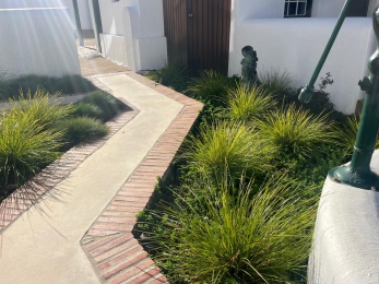 Ornamental grasses and brick-edged pathway by CSA Landscaping, the best in Boland and Cape Winelands landscaping, at Hugenote Hotel Franschhoek