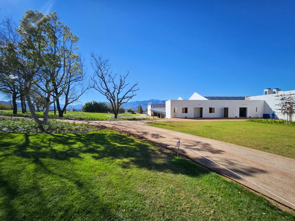 Wide view of the main white estate buildings with solar panels, open lawns, dirt avenue and mountain backdrop by CSA Landscaping, the best in Boland and Cape Winelands landscaping, at a Babylonstoren grounds in Simondium