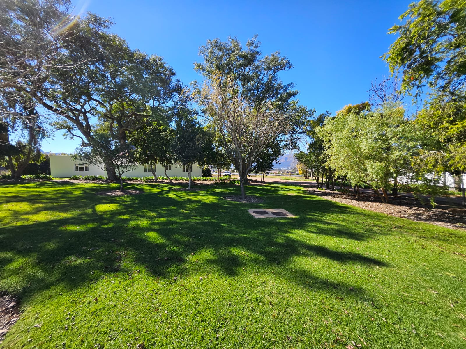 Shaded lawn area with mature trees and soft underplanting near the estate buildings by CSA Landscaping, known for precision landscaping in the Boland and Cape Winelands, at a Babylonstoren Group estate in Simondium