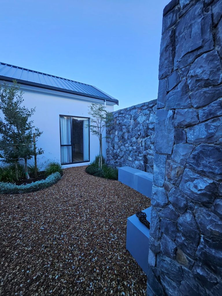 Gravel courtyard with young olive trees, silver groundcovers and natural stone cladding wall by CSA Landscaping at The Acres at Pearl Valley, Paarl