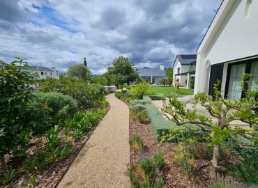 Curved gravel pathway with agapanthus, rosemary, lavender, citrus and clipped silver hedging at Val de Vie, Paarl, by CSA Landscaping, best Cape Winelands landscapers