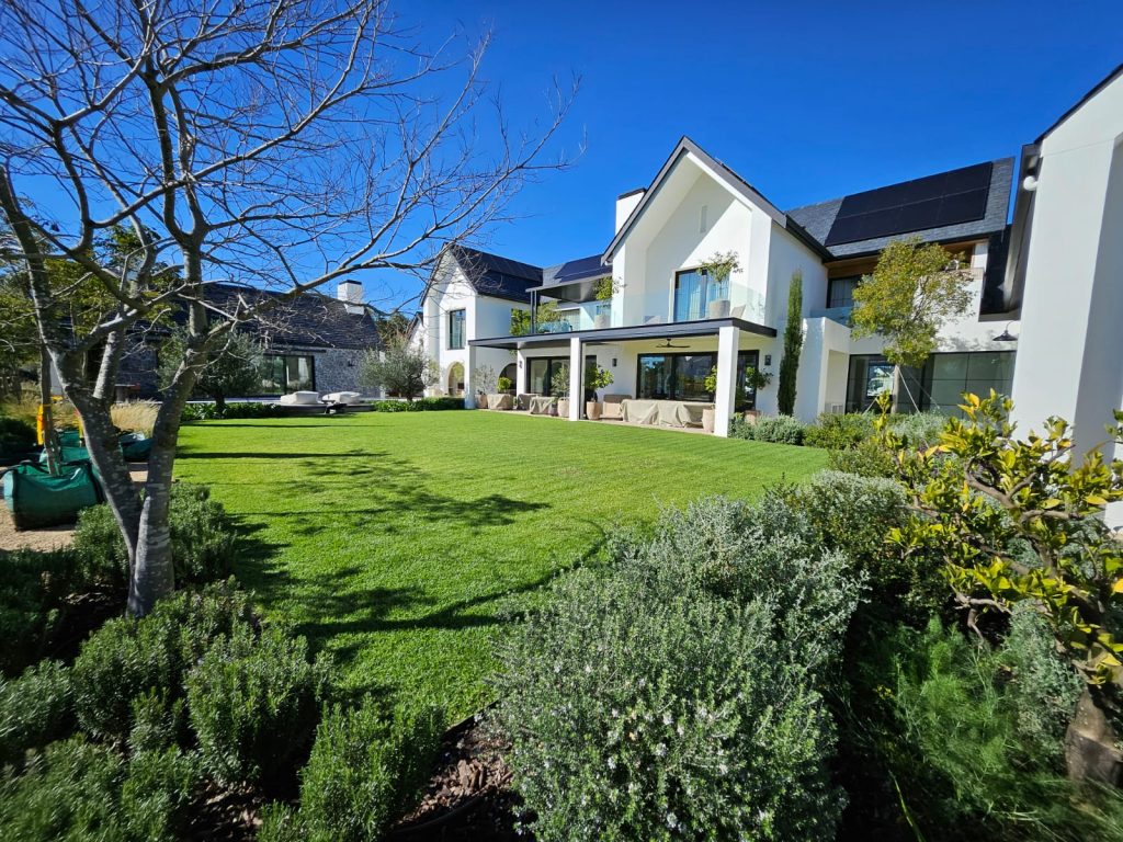 Open lawn framed by rosemary, silver foliage shrubs, citrus and olive trees at a Val de Vie private residence, Paarl, by CSA Landscaping, leading landscapers in the Boland