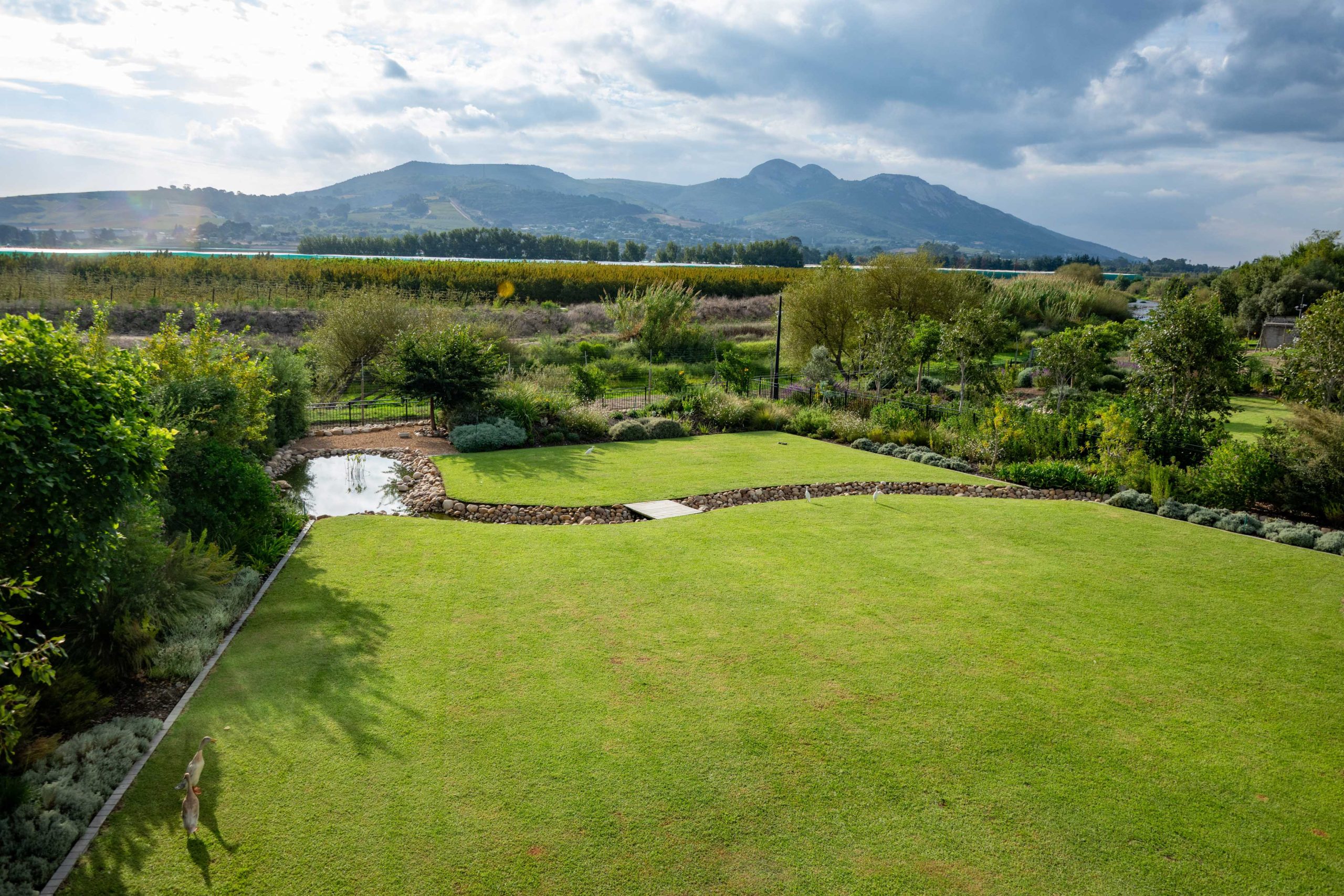 Elevated view of the circulating stream, timber crossing and open lawns against the Paarl mountains at Val de Vie Estate, by CSA Landscaping — leading landscapers in the Boland and Cape Winelands