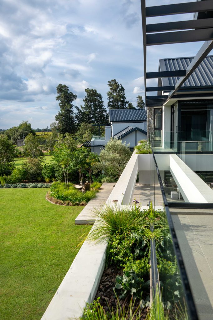 Upper balcony planter with ornamental grasses looking down onto lawn, olive trees and the garden at Val de Vie Estate, Paarl, by CSA Landscaping — leading landscapers in the Boland and Cape Winelands