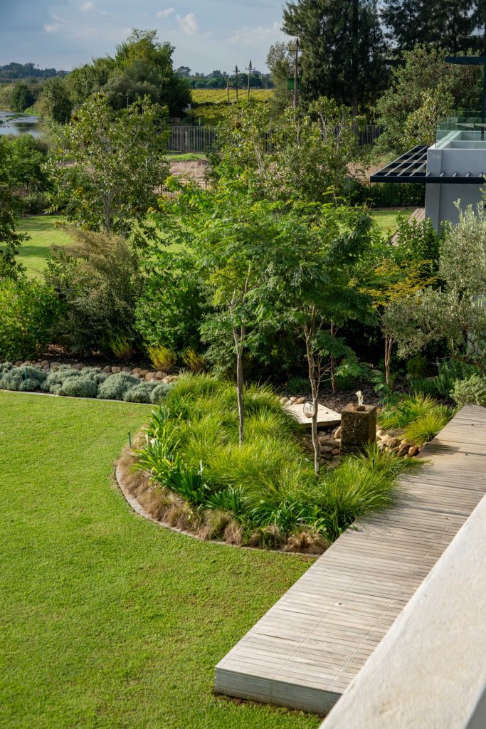 Timber boardwalk beside the granite water feature, Dietes and ornamental grasses at Val de Vie Estate, Paarl, by CSA Landscaping — leading landscapers in the Boland and Cape Winelands