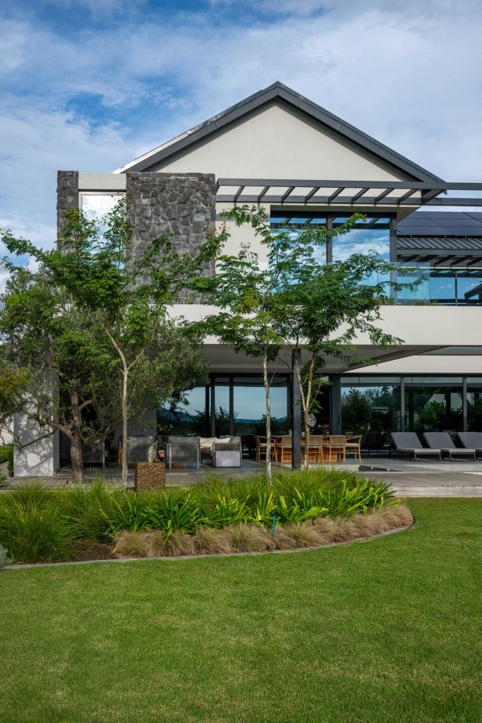 Curved bed of Dietes and ornamental grasses with feature trees in front of the outdoor terrace at Val de Vie Estate, Paarl, by CSA Landscaping — leading landscapers in the Boland and Cape Winelands