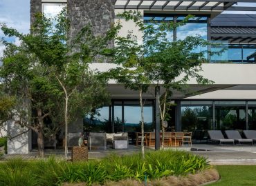 Curved bed of Dietes and ornamental grasses with feature trees in front of the outdoor terrace at Val de Vie Estate, Paarl, by CSA Landscaping — leading landscapers in the Boland and Cape Winelands