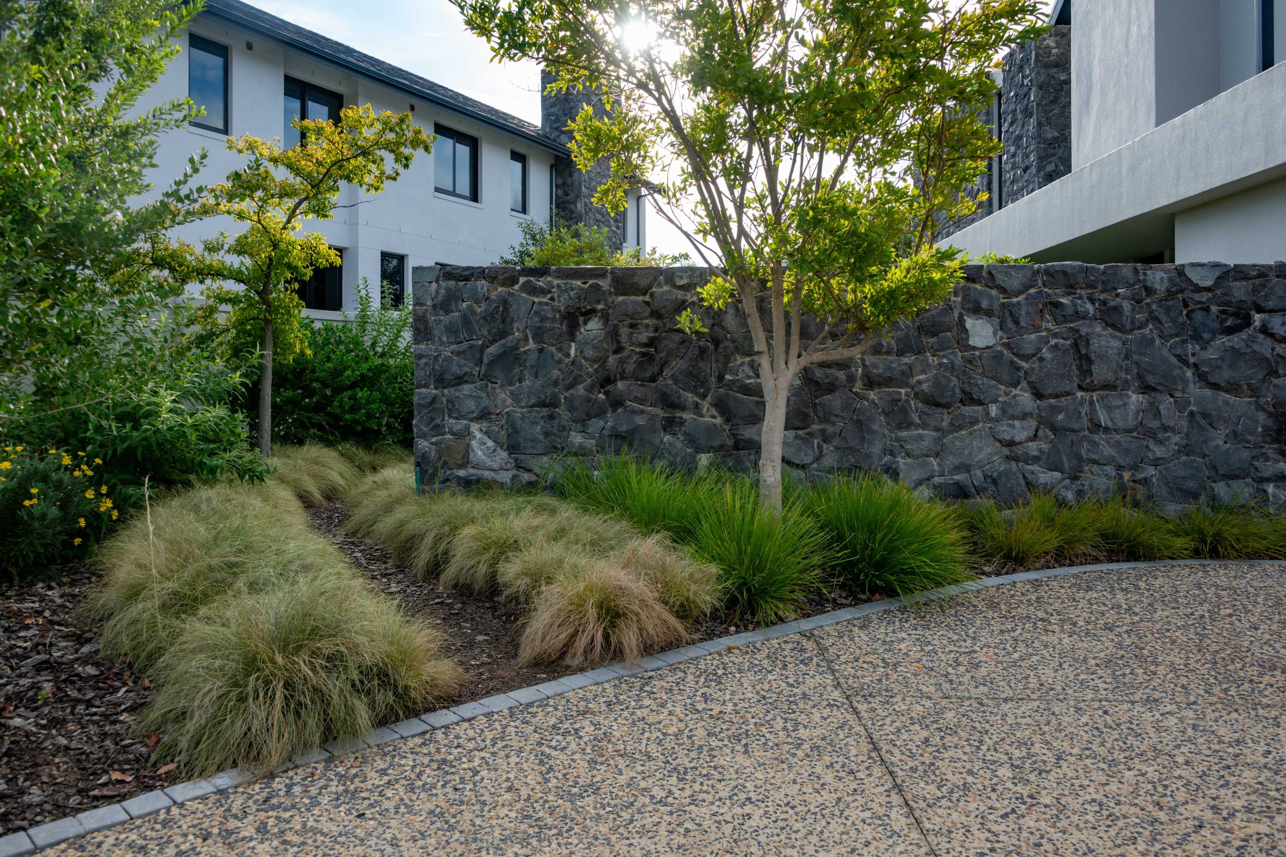 Driveway edge planted with ornamental grasses and a feature tree against a stone wall at Val de Vie Estate, Paarl, by CSA Landscaping — leading landscapers in the Boland and Cape Winelands