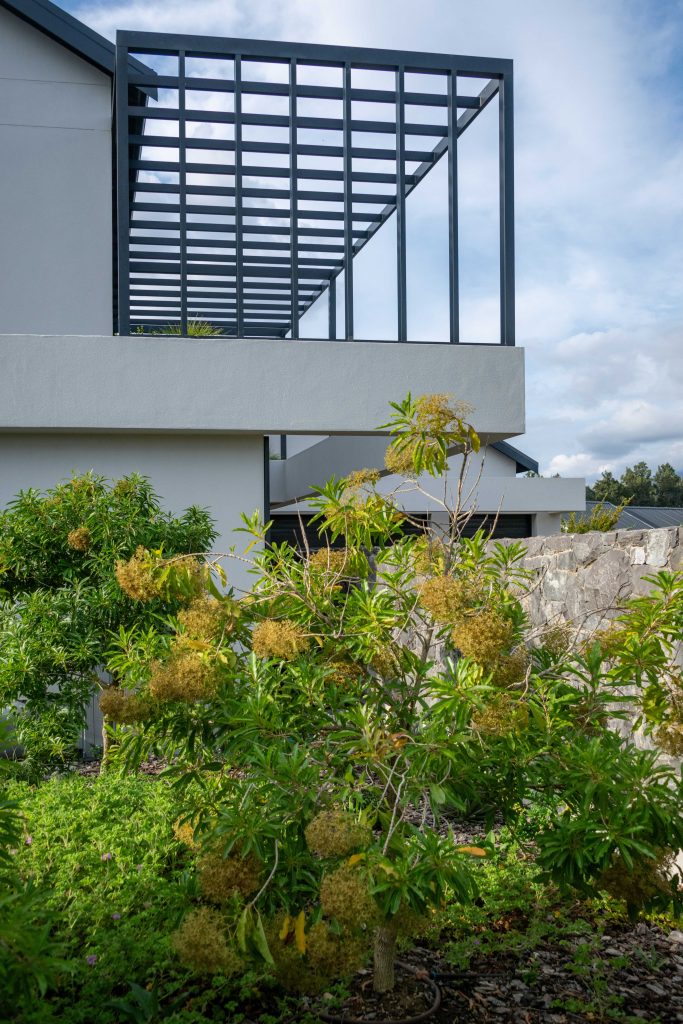 Flowering shrubs in the side garden beneath the steel pergola at Val de Vie Estate, Paarl, by CSA Landscaping — leading landscapers in the Boland and Cape Winelands