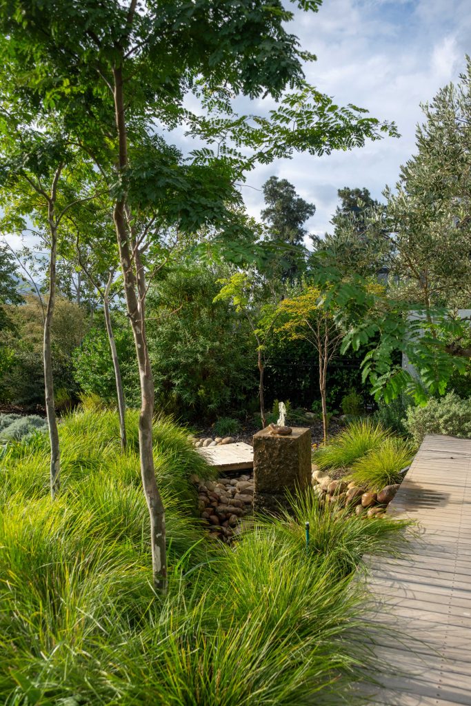 Granite water feature set in ornamental grasses and river stones, with timber boardwalk and feature trees at Val de Vie Estate, Paarl, by CSA Landscaping — leading landscapers in the Boland and Cape Winelands
