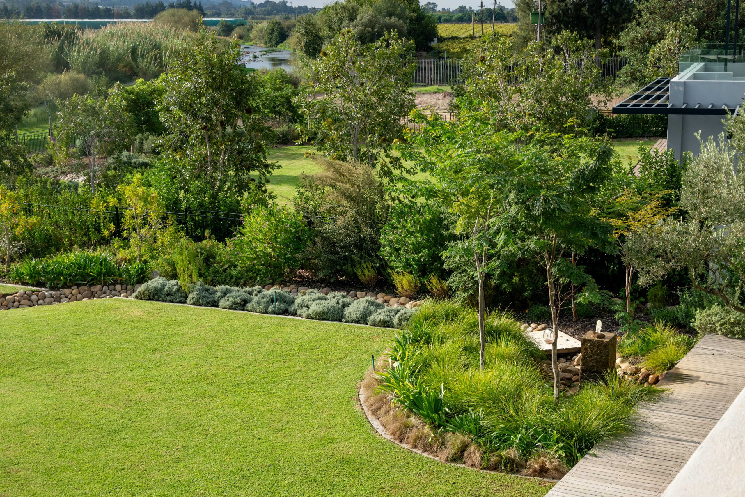 Open lawn meeting Helichrysum borders, Dietes and the granite water feature with timber boardwalk at Val de Vie Estate, Paarl, by CSA Landscaping — leading landscapers in the Boland and Cape Winelands