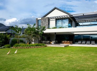 Open lawn leading to outdoor living terrace with olive trees, Dietes and ornamental grasses at a contemporary home in Val de Vie Estate, Paarl, by CSA Landscaping — leading landscapers in the Boland and Cape Winelands