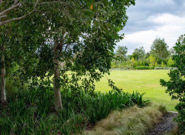Gravel path lined with fine ornamental grasses and Dietes under feature trees, opening onto the lawn at Val de Vie Estate, Paarl, by CSA Landscaping — leading landscapers in the Boland and Cape Winelands