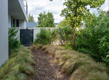 Side gravel path lined with fine ornamental grasses, shrubs and a feature tree leading to a black gate at a contemporary home in Val de Vie Estate, Paarl, by CSA Landscaping — leading landscapers in the Boland and Cape Winelands