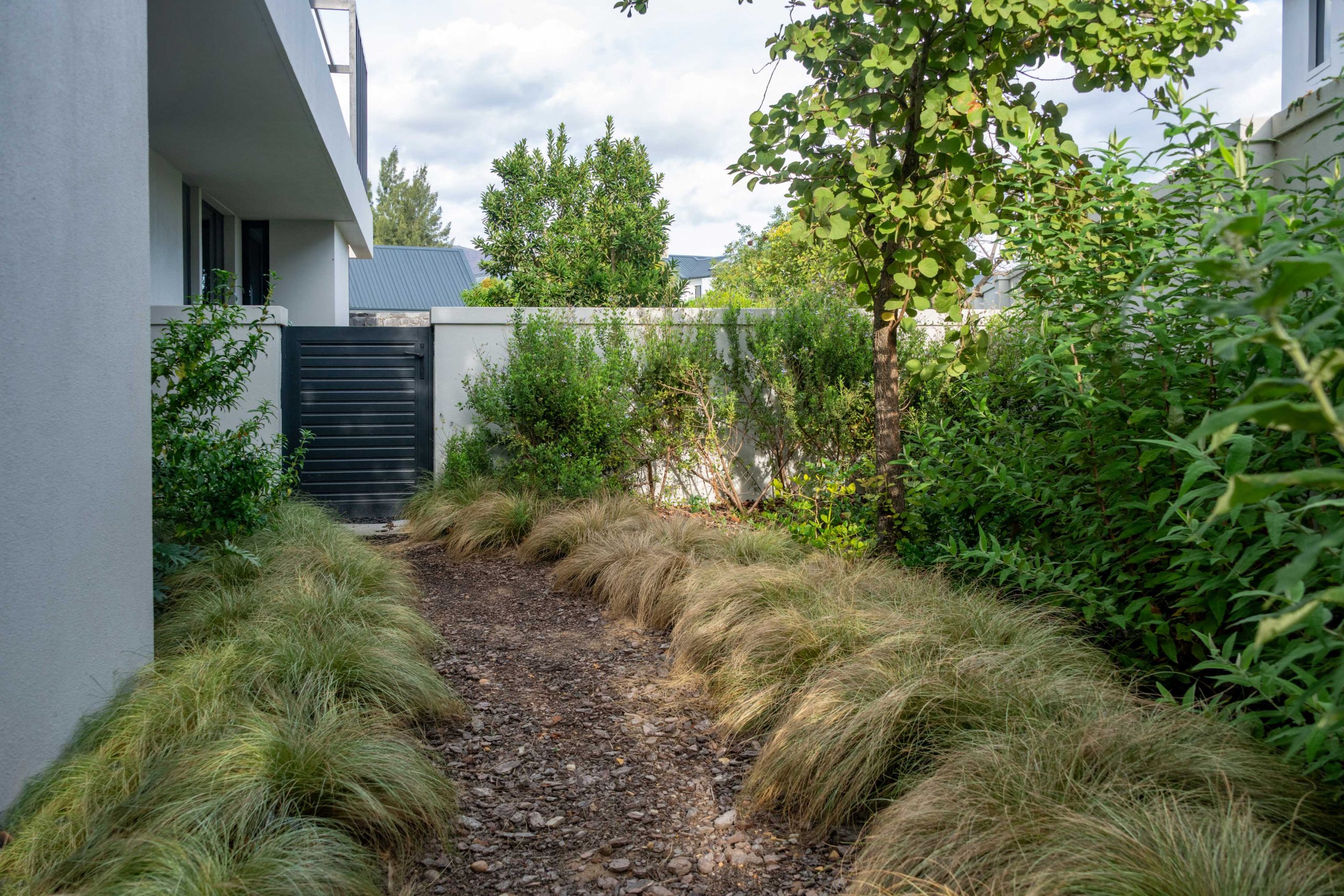 Side gravel path lined with fine ornamental grasses, shrubs and a feature tree leading to a black gate at a contemporary home in Val de Vie Estate, Paarl, by CSA Landscaping — leading landscapers in the Boland and Cape Winelands