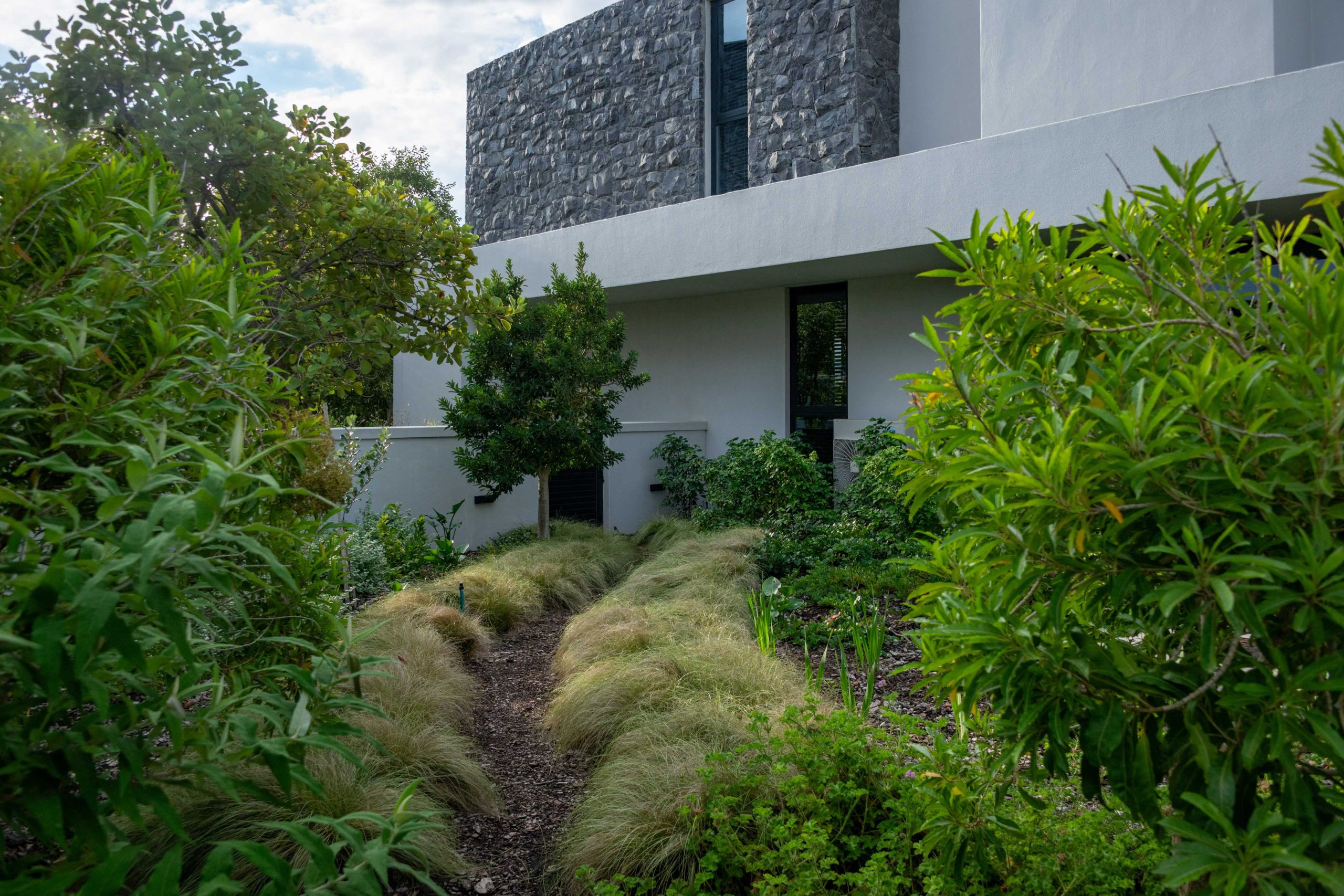 Side path through ornamental grasses, groundcovers and flowering shrubs at a contemporary home in Val de Vie Estate, Paarl, by CSA Landscaping — leading landscapers in the Boland and Cape Winelands