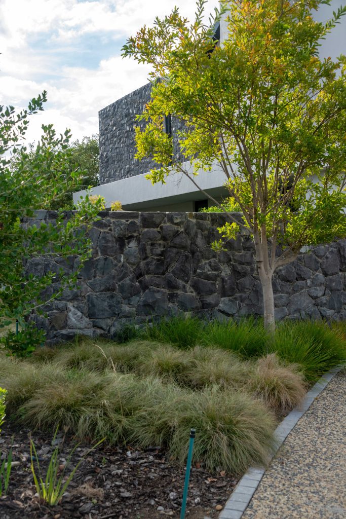 Stone retaining wall with ornamental grasses and a feature tree beside the driveway at Val de Vie Estate, Paarl, by CSA Landscaping — leading landscapers in the Boland and Cape Winelands