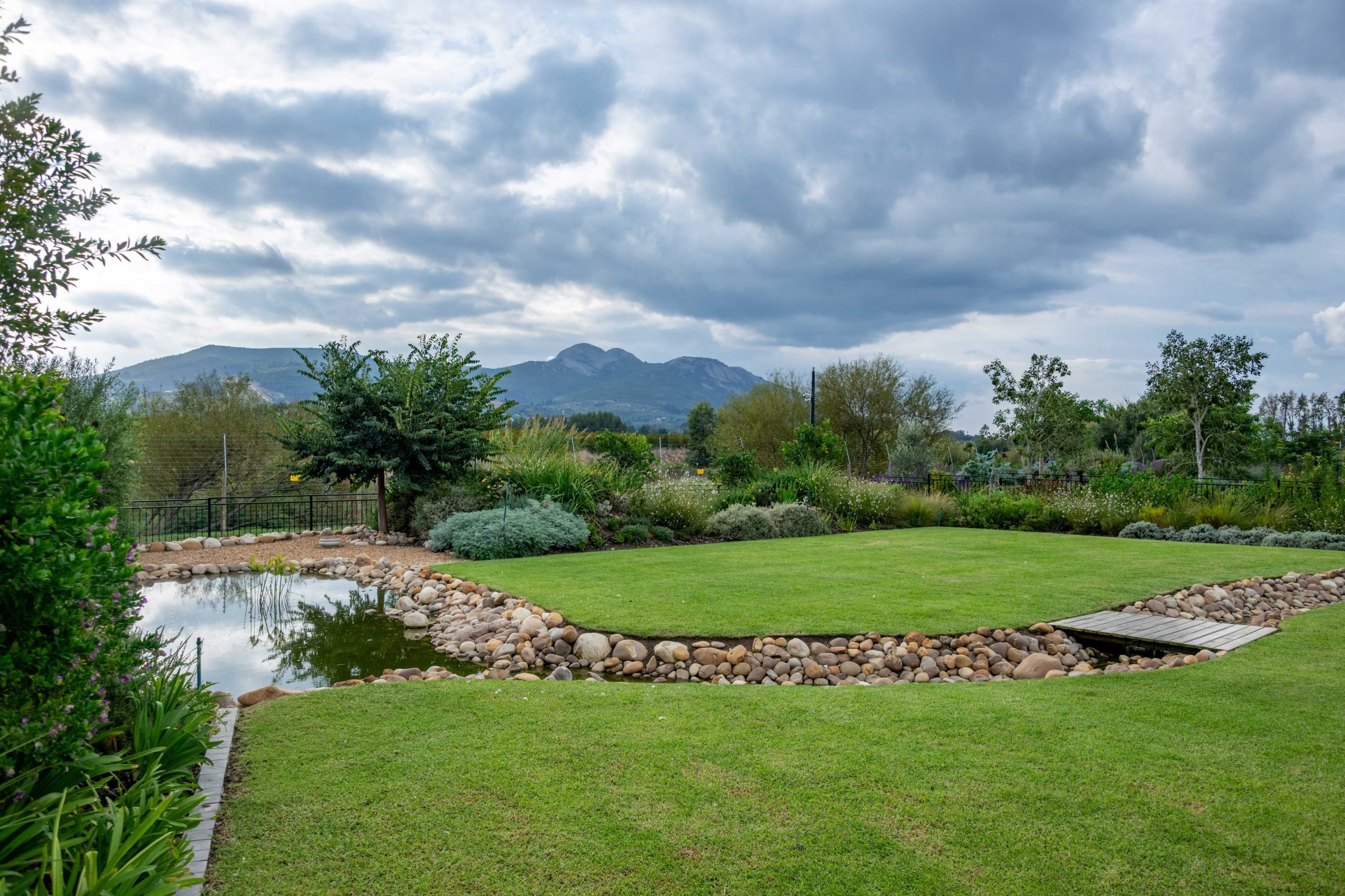 Circulating river-stone stream with timber boardwalk crossing, open lawn and layered planting of Helichrysum, trees and shrubs against the mountains at Val de Vie Estate, Paarl, by CSA Landscaping — leading landscapers in the Boland and Cape Winelands