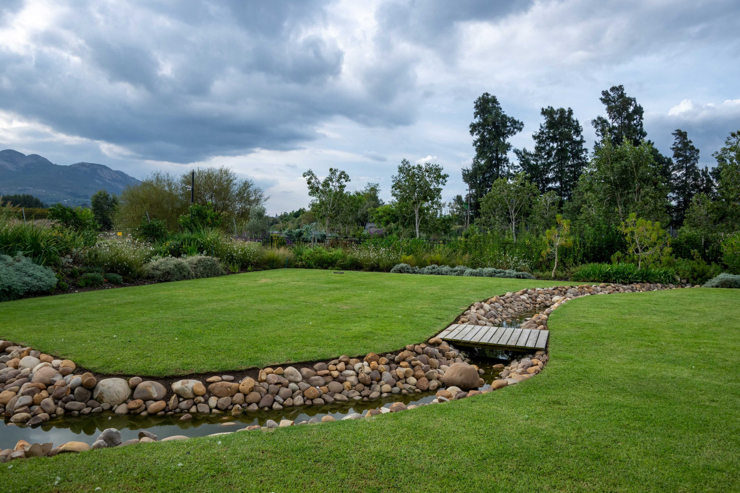 Winding river-stone stream with timber bridge crossing the lawn, framed by Helichrysum, trees and mixed planting at Val de Vie Estate, Paarl, by CSA Landscaping — leading landscapers in the Boland and Cape Winelands